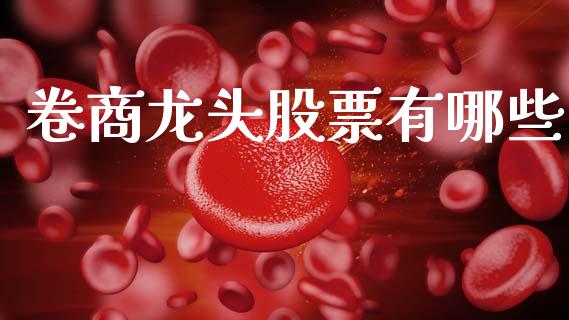 卷商龙头股票有哪些_https://m.jnlaobingbanjia.com_基金市场_第1张