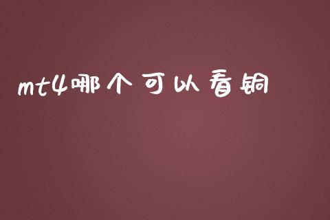mt4哪个可以看铜_https://m.jnlaobingbanjia.com_股市新闻_第1张