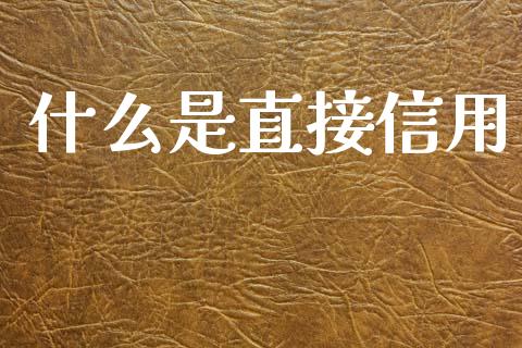 什么是直接信用_https://m.jnlaobingbanjia.com_全球市场_第1张