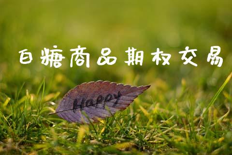 白糖商品期权交易_https://m.jnlaobingbanjia.com_理财规划_第1张