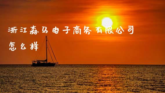 浙江森马电子商务有限公司怎么样_https://m.jnlaobingbanjia.com_理财规划_第1张