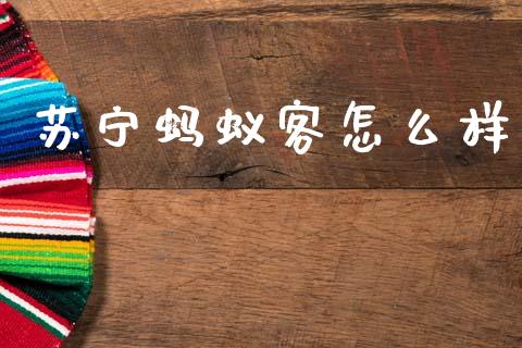 苏宁蚂蚁客怎么样_https://m.jnlaobingbanjia.com_金融监管_第1张