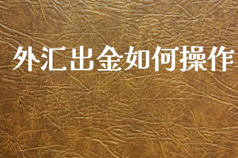 外汇出金如何操作_https://m.jnlaobingbanjia.com_全球市场_第1张