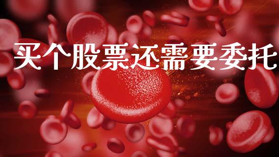 买个股票还需要委托_https://m.jnlaobingbanjia.com_股市新闻_第1张