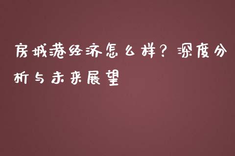 房城港经济怎么样？深度分析与未来展望_https://m.jnlaobingbanjia.com_金融监管_第1张