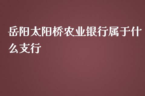 岳阳太阳桥农业银行属于什么支行_https://m.jnlaobingbanjia.com_理财规划_第1张