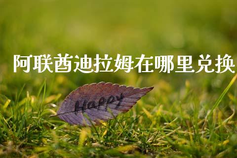 阿联酋迪拉姆在哪里兑换_https://m.jnlaobingbanjia.com_理财规划_第1张