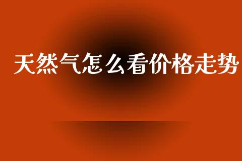 天然气怎么看价格走势_https://m.jnlaobingbanjia.com_理财规划_第1张
