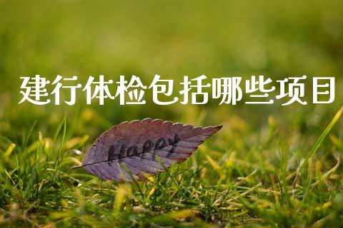 建行体检包括哪些项目_https://m.jnlaobingbanjia.com_股市新闻_第1张