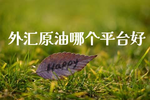 外汇原油哪个平台好_https://m.jnlaobingbanjia.com_基金市场_第1张