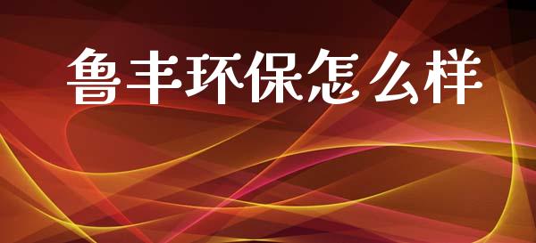 鲁丰环保怎么样_https://m.jnlaobingbanjia.com_基金市场_第1张