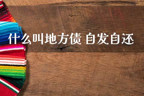什么叫地方债 自发自还_https://m.jnlaobingbanjia.com_理财规划_第1张