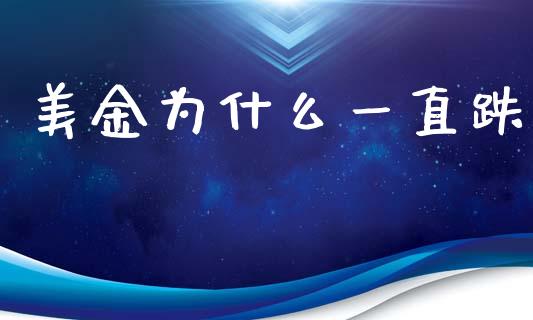 美金为什么一直跌_https://m.jnlaobingbanjia.com_全球市场_第1张
