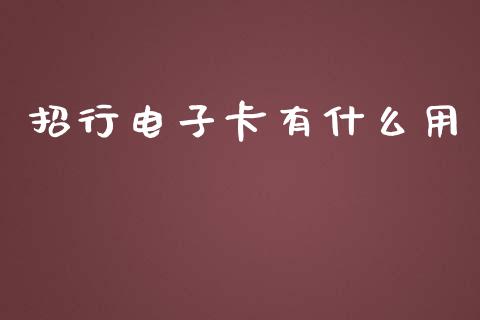 招行电子卡有什么用_https://m.jnlaobingbanjia.com_理财规划_第1张
