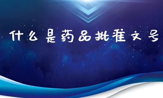 什么是药品批准文号_https://m.jnlaobingbanjia.com_理财规划_第1张