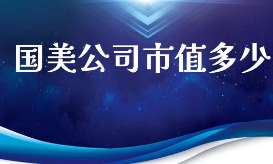 国美公司市值多少_https://m.jnlaobingbanjia.com_全球市场_第1张