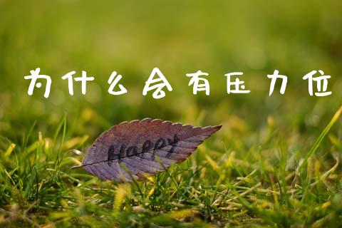 为什么会有压力位_https://m.jnlaobingbanjia.com_金融监管_第1张