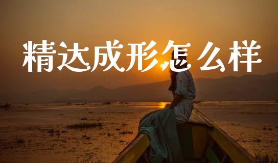 精达成形怎么样_https://m.jnlaobingbanjia.com_金融监管_第1张