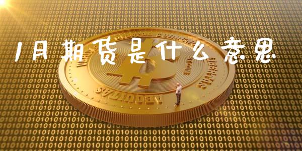 1月期货是什么意思_https://m.jnlaobingbanjia.com_全球市场_第1张