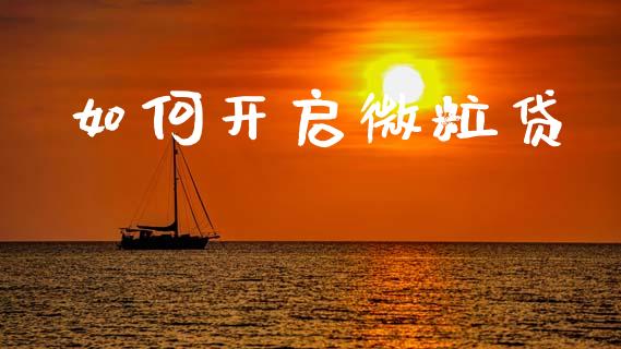 如何开启微粒贷_https://m.jnlaobingbanjia.com_股市新闻_第1张