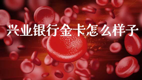 兴业银行金卡怎么样子_https://m.jnlaobingbanjia.com_股市新闻_第1张