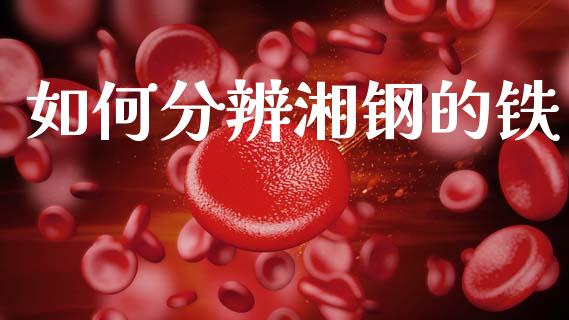 如何分辨湘钢的铁_https://m.jnlaobingbanjia.com_基金市场_第1张