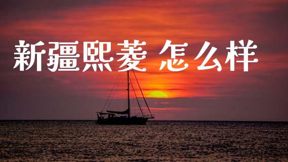 新疆熙菱 怎么样_https://m.jnlaobingbanjia.com_金融监管_第1张