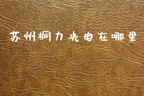 苏州桐力光电在哪里_https://m.jnlaobingbanjia.com_理财规划_第1张