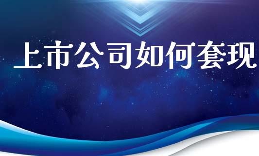 上市公司如何套现_https://m.jnlaobingbanjia.com_基金市场_第1张