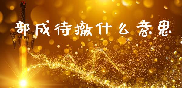 部成待撤什么意思_股市新闻_第1张_全球市场_股市新闻_理财规划_金融监管_区块链_基金市场 部成待撤什么意思_https://m.jnlaobingbanjia.com_股市新闻_第1张