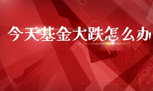 今天基金大跌怎么办_https://m.jnlaobingbanjia.com_全球市场_第1张