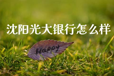 沈阳光大银行怎么样_https://m.jnlaobingbanjia.com_基金市场_第1张