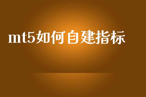 mt5如何自建指标_https://m.jnlaobingbanjia.com_区块链_第1张