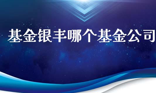 基金银丰哪个基金公司_https://m.jnlaobingbanjia.com_区块链_第1张