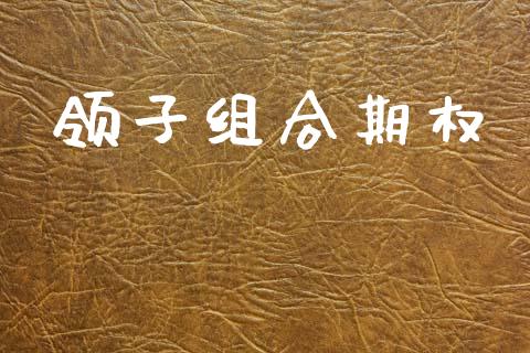 领子组合期权_https://m.jnlaobingbanjia.com_全球市场_第1张