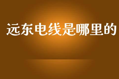 远东电线是哪里的_https://m.jnlaobingbanjia.com_理财规划_第1张