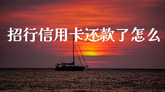招行信用卡还款了怎么_https://m.jnlaobingbanjia.com_金融监管_第1张