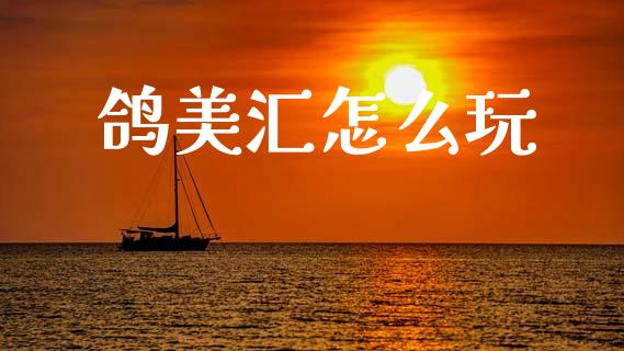 鸽美汇怎么玩_https://m.jnlaobingbanjia.com_区块链_第1张