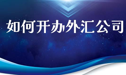 如何开办外汇公司_https://m.jnlaobingbanjia.com_理财规划_第1张