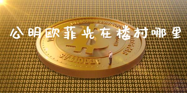 公明欧菲光在楼村哪里_https://m.jnlaobingbanjia.com_全球市场_第1张