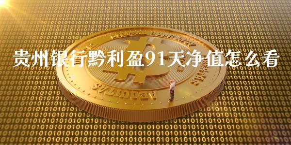 贵州银行黔利盈91天净值怎么看_https://m.jnlaobingbanjia.com_股市新闻_第1张