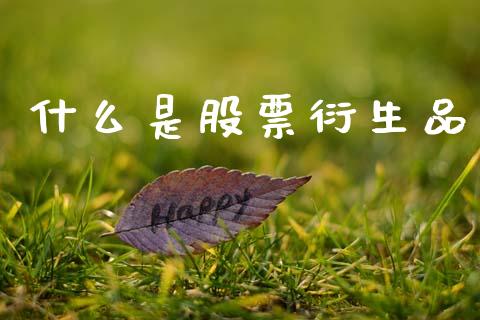 什么是股票衍生品_https://m.jnlaobingbanjia.com_基金市场_第1张