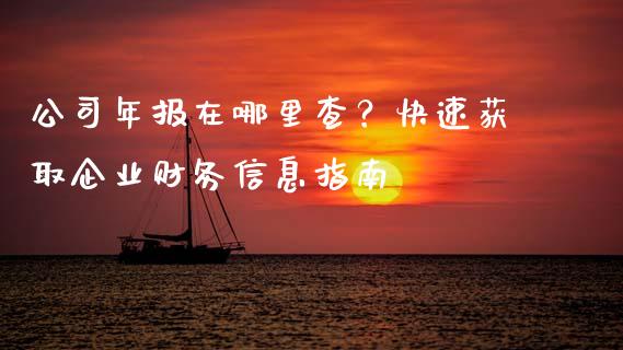 公司年报在哪里查？快速获取企业财务信息指南_https://m.jnlaobingbanjia.com_区块链_第1张