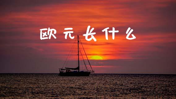 欧元长什么_https://m.jnlaobingbanjia.com_基金市场_第1张