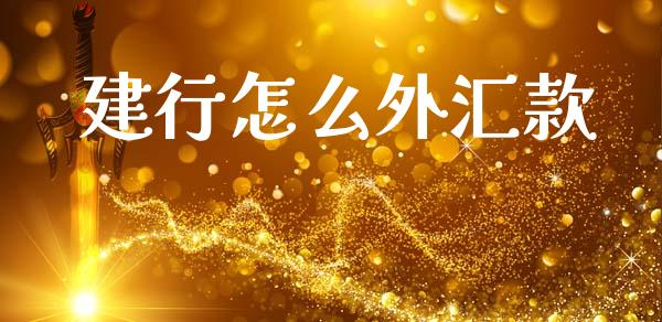 建行怎么外汇款_https://m.jnlaobingbanjia.com_金融监管_第1张