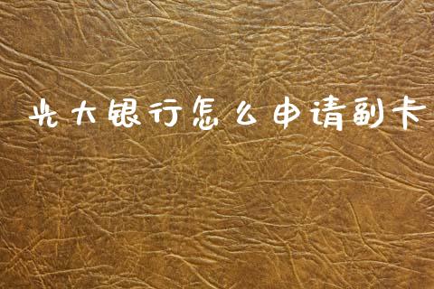 光大银行怎么申请副卡_https://m.jnlaobingbanjia.com_基金市场_第1张