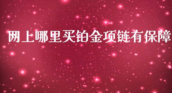 网上哪里买铂金项链有保障_https://m.jnlaobingbanjia.com_全球市场_第1张