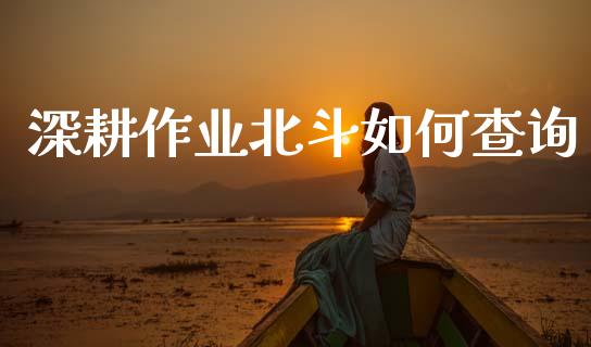 深耕作业北斗如何查询_https://m.jnlaobingbanjia.com_基金市场_第1张