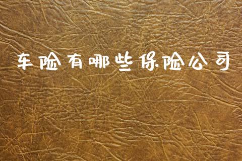 车险有哪些保险公司_https://m.jnlaobingbanjia.com_股市新闻_第1张