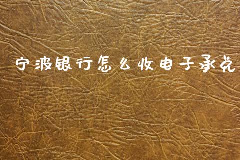 宁波银行怎么收电子承兑_https://m.jnlaobingbanjia.com_全球市场_第1张